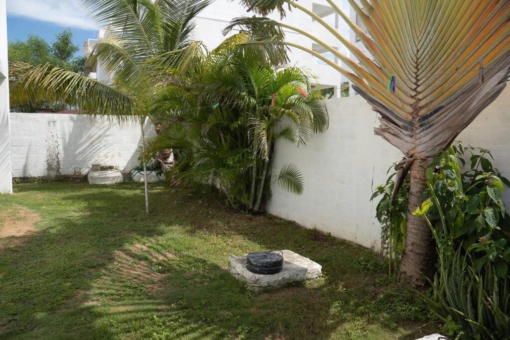 בייהיבה Villa Caribe מראה חיצוני תמונה