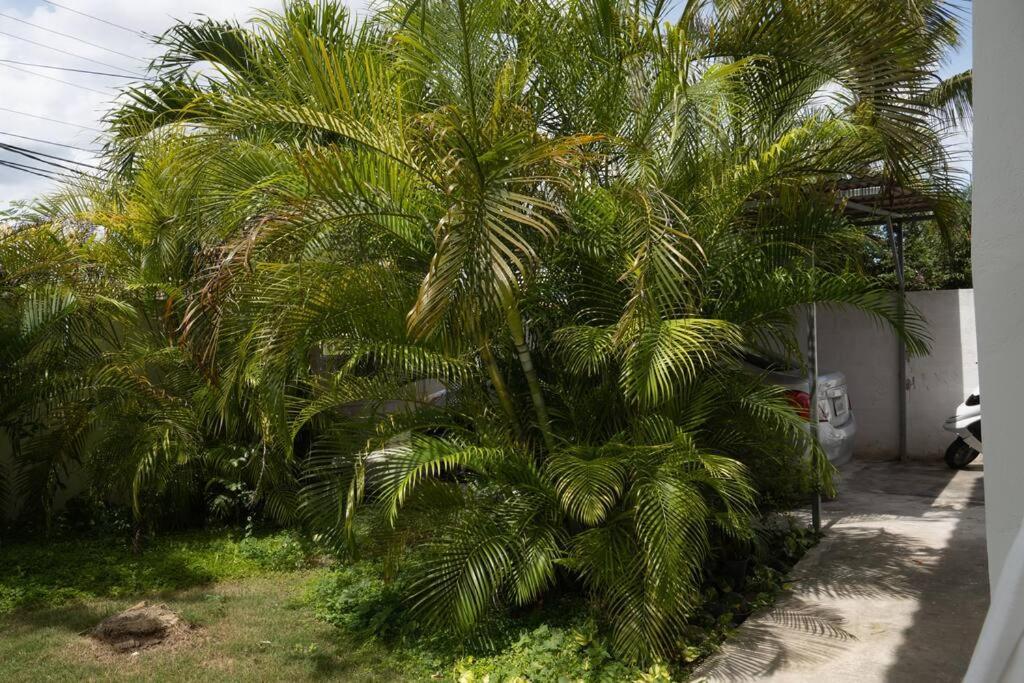 בייהיבה Villa Caribe מראה חיצוני תמונה