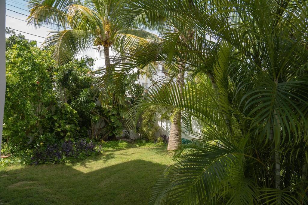 בייהיבה Villa Caribe מראה חיצוני תמונה